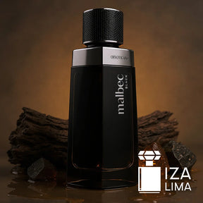 Malbec Noir Eau de Toilette 100ml - Parfum Boisé Masculin