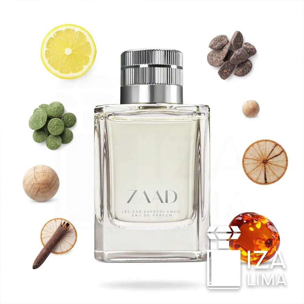 Zaad Eau de Parfum 95ml – Parfum Masculin Ambré Boisé Frais
